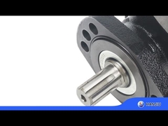 Motor hidráulico BMER-2-300-FH-SW de baixa velocidade e alto torque, 18,08 polegadas cúbicas de cilindrada