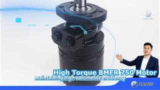 BMER-2-750-MS-B1